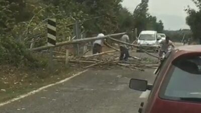 Bursa’da ağaçlar devrildi, yol trafiğe kapandı