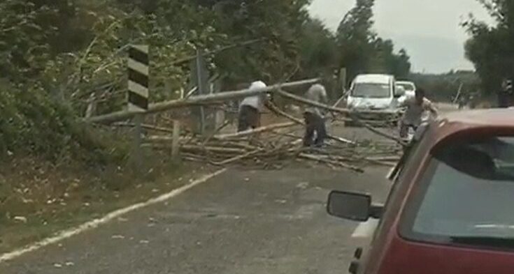 Bursa’da ağaçlar devrildi, yol trafiğe kapandı Bursa’da ağaçlar devrildi, yol trafiğe kapandı