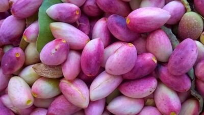 Faydaları saymakla bitmiyor! Bağışıklığı güçlendiriyor, felç ve yüksek tansiyona iyi geliyor.