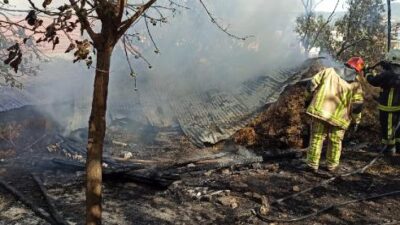 Yer: Bursa… Alevlerin arasından son anda kurtarıldı