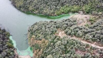 Tepki çeken görüntü! Göle kimyasal atık boşalttılar