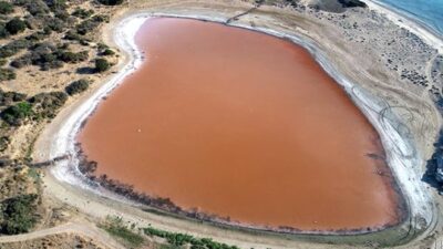 Doğanın aşka düşmüş hali!