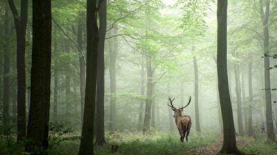 Etme bulma dünyası!