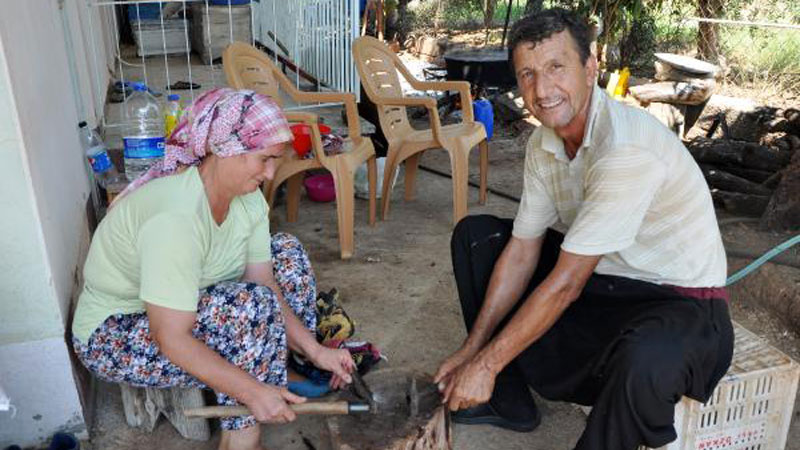 Keçiboynuzunun kilosu 10, pekmezi 50 liraya satılıyor