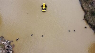 Giresun’dan bir acı haber daha