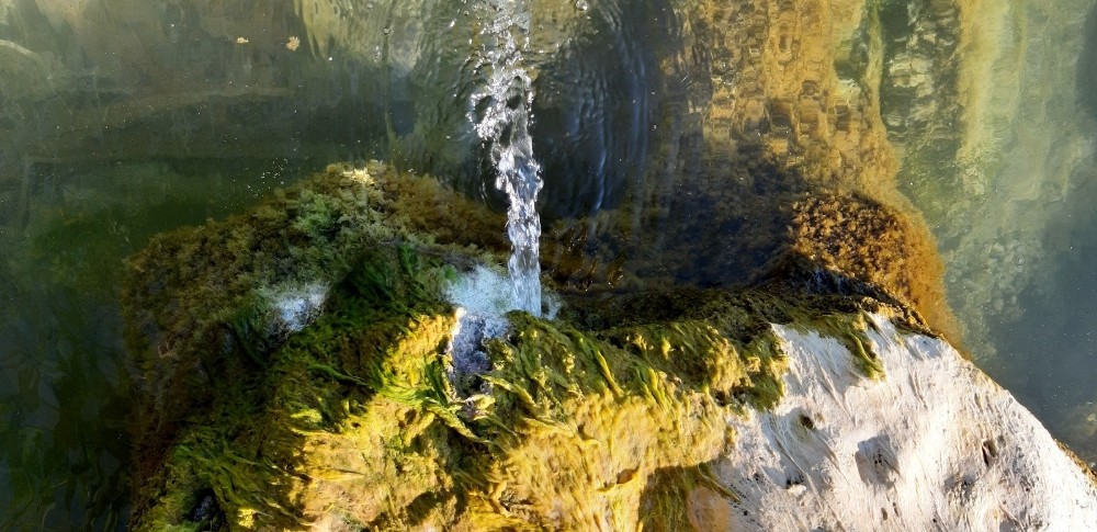 Göl çekildi kaynak pınarlar ortaya çıktı Göl çekildi kaynak pınarlar ortaya çıktı