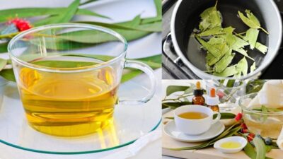 Süper etkili! Daha sağlıklı nefes için mutlaka tüketin…