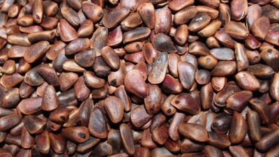 Faydasını öğrenince şaşıracaksınız…