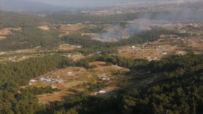 İzmir’de ormanlık alanda yangın