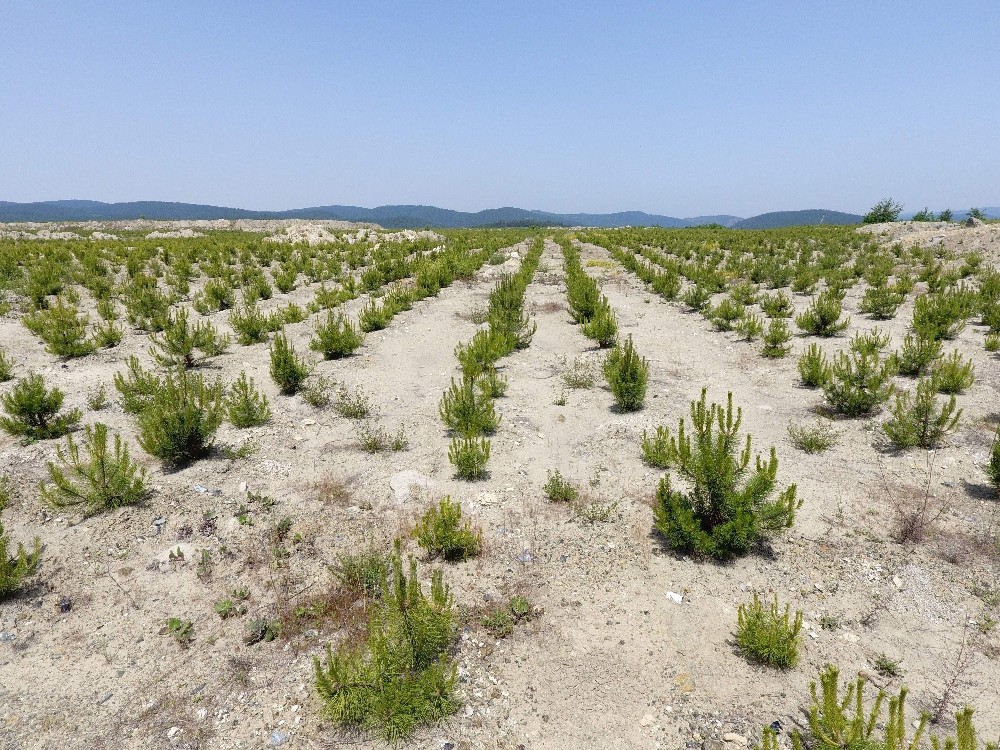 Türkiye’nin en büyüğü Bursa’da yükseliyor Türkiye’nin en büyüğü Bursa’da yükseliyor