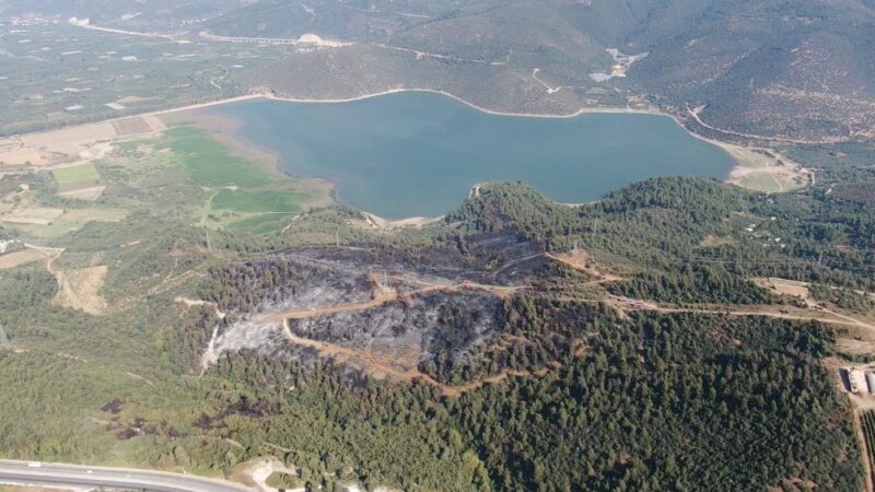 Bursa’nın Kestel ilçesinde çıkan orman yangını tamamen söndürülürken, verdiği tahribat