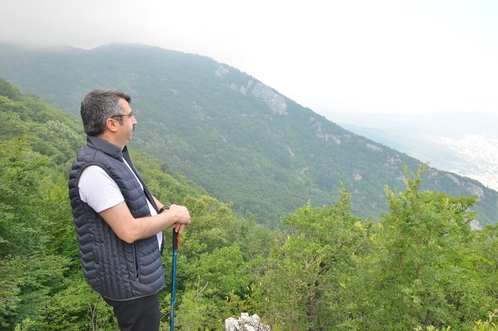 Yıldırım yeşil kimliğine kavuşuyor Yıldırım yeşil kimliğine kavuşuyor