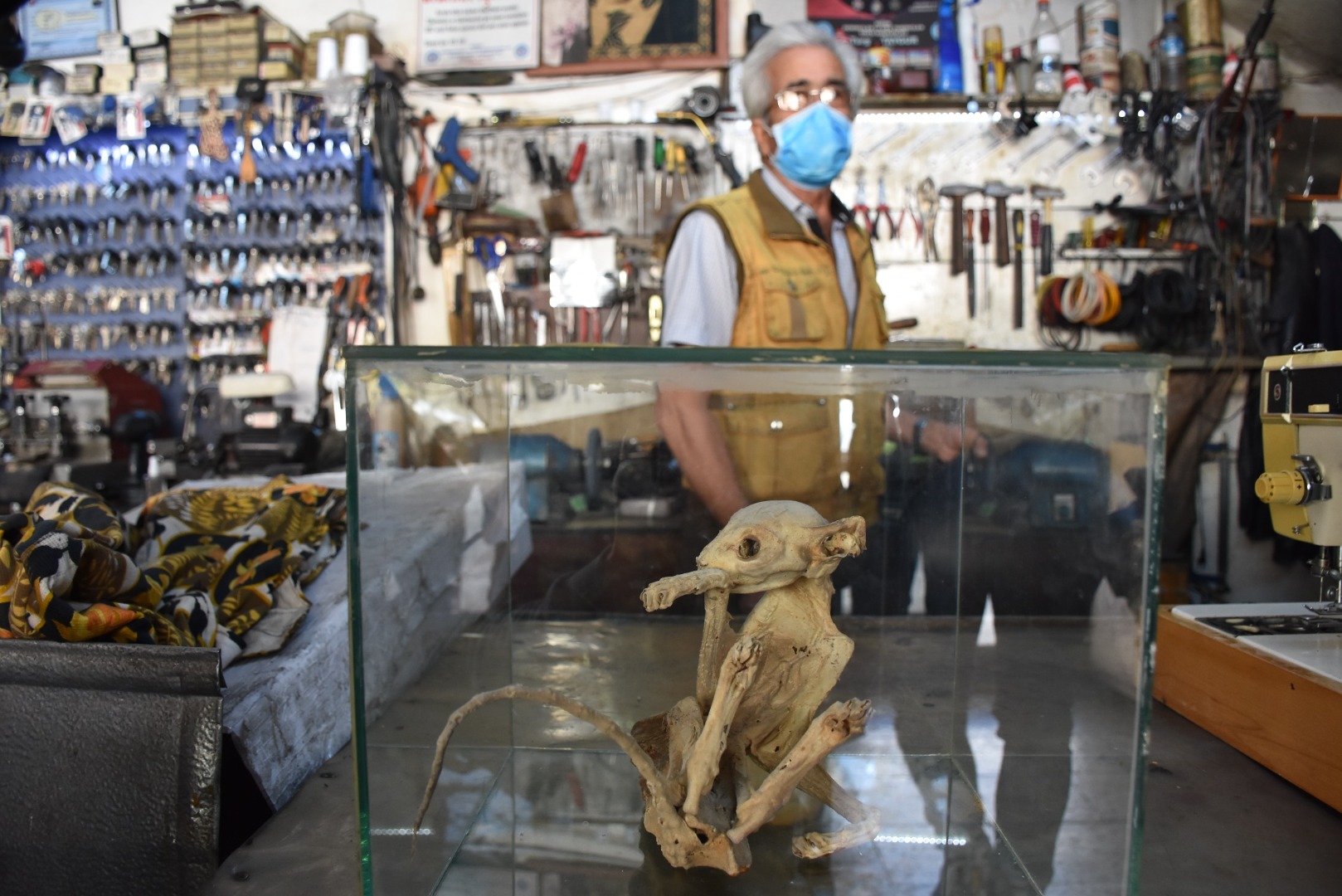 Kimse ne olduğunu anlayamadı! Türü bilinmiyor