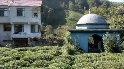 Ölmeden türbe gibi mezar yaptırdı! Balkonundan seyrediyor