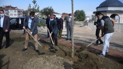 52 fidan toprakla buluştu