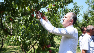 İnegöl tarımı şahlanıyor