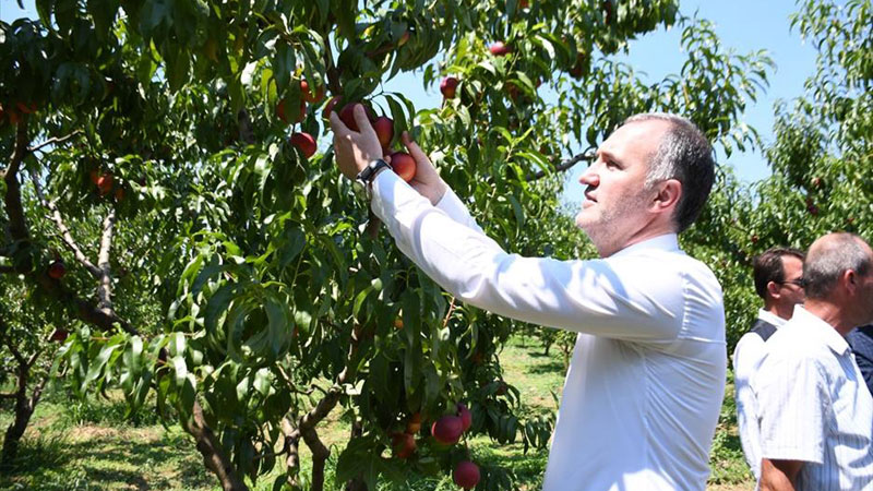 İnegöl tarımı şahlanıyor