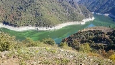 Baraj yeşile boyandı, ölü balıklar kıyıya vurdu