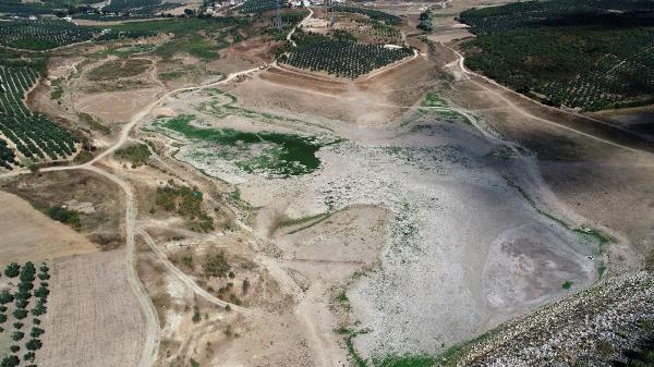 Bursa’da tedirgin eden olay! Tamamen kurudu