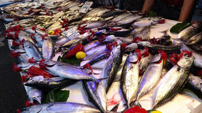 İşte taze balığı almanın yolu