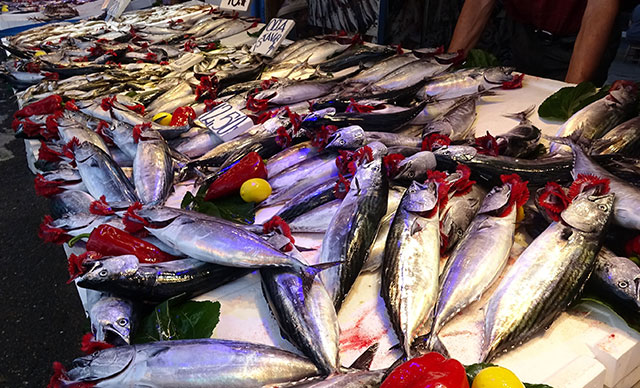 İşte taze balığı almanın yolu İşte taze balığı almanın yolu