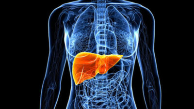 Karaciğeri koruyor…