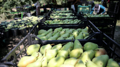 Dalından satışlar en büyük kambur