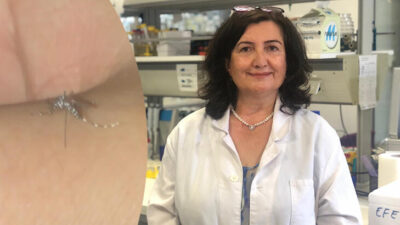 Isırdığı zaman geçmiyor! 3 ilçesinin kabusu oldu