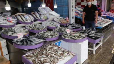 Karadeniz’de oluşan akıntı balık fiyatlarını etkiledi