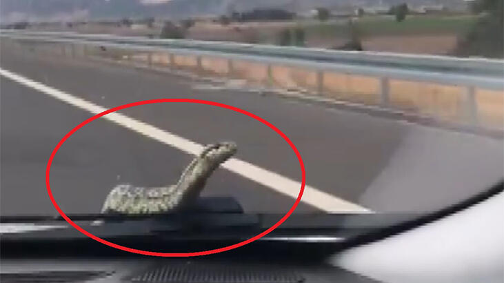 Trafikte şoke eden an! Önce bulamadılar, 3 gün sonra…