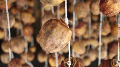 3 hafta içinde bir şifa deposuna dönüşüyor…