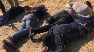 Siirt’te operasyon! 5’i de yakalandı