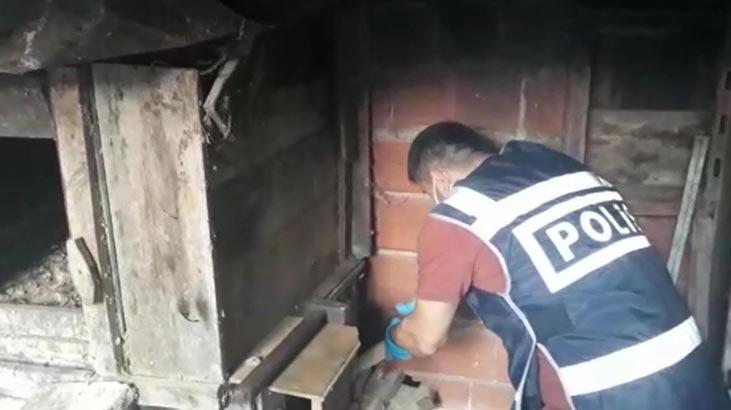 Tavuk kümesindeki gizli bölmeden çıkanlar şoke etti