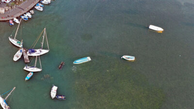 Türkiye böylesini görmedi!