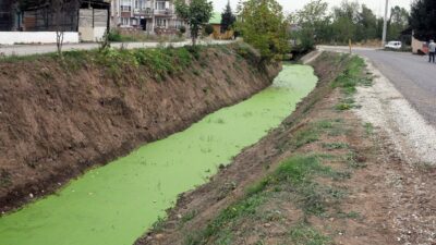 Rengi yeşile döndü: ‘İlk defa böyle bir şey görüyorum’
