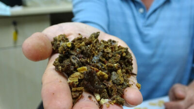 Bursa’da üretiliyor! Litresi 2 bin 500 lira…Gelen taleplere yetişemiyor