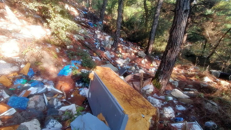 Bursa’da çevre katliamı