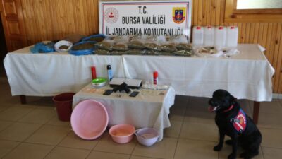Yer: Bursa… Fare ilacıyla uyuşturucu yapıp satan 3 kişi yakalandı