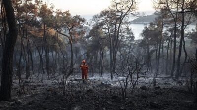 Orman yakan sanık için istenen ceza belli oldu