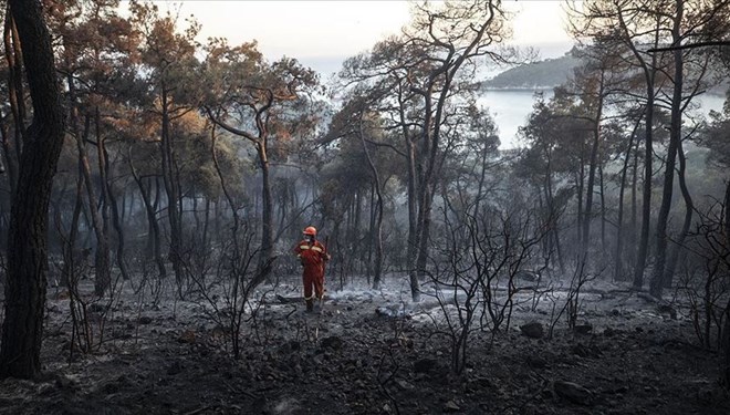 Orman yakan sanık için istenen ceza belli oldu