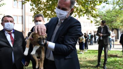 İnegöl Belediyesi okullara köpek sahiplendiriyor