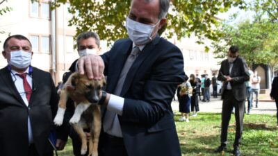 İnegöl Belediyesi okullara köpek sahiplendiriyor