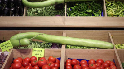 Bursa’daki dev kabak görenleri şaşırttı