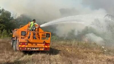 Samsun’da orman yangını! Çok sayıda ekip sevk edildi