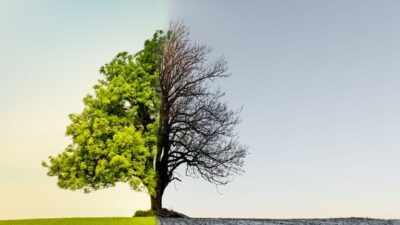 Türkiye’de yaz 5 aya çıkıyor