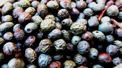 Herkes bunun peşinde!