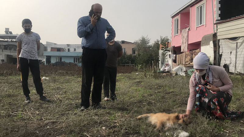 Yer: Bursa… Ölen köpeğinin ardından gözyaşı döktü