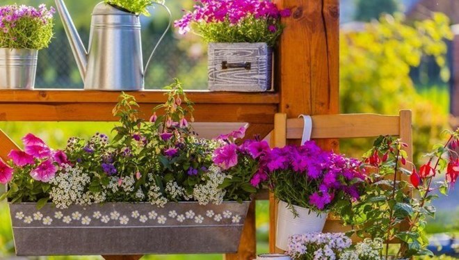 Hobi bahçeleri teklifi değişiyor: Hapis cezası gündemde