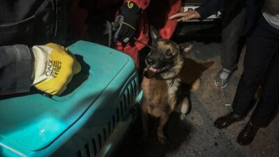 İzmir’de enkazda K-9 köpeği kediyi kurtardı