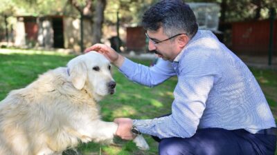 Başkan Yılmaz, ‘can dostları’ sahiplendirdi